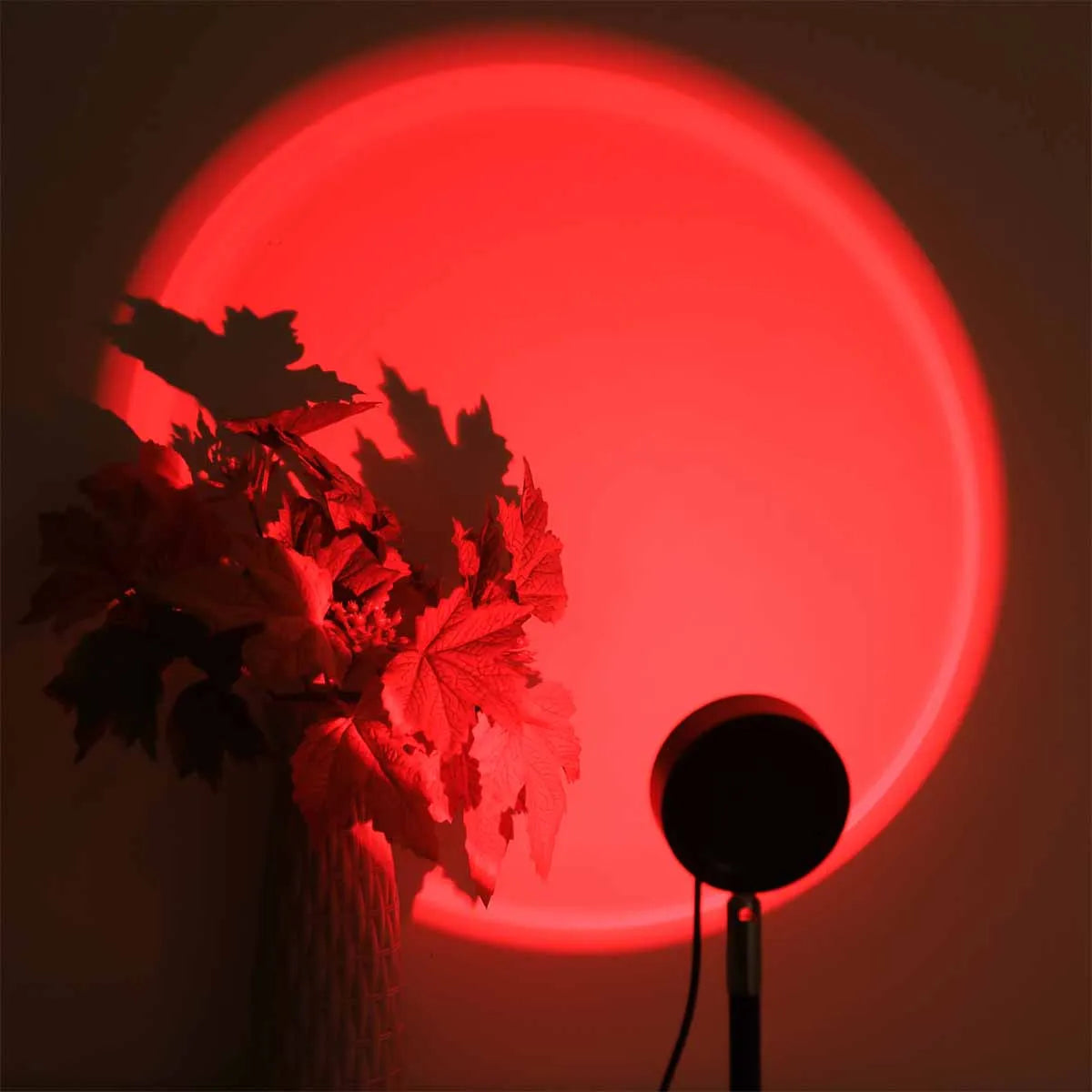 Sunset Glow Projection Lamp